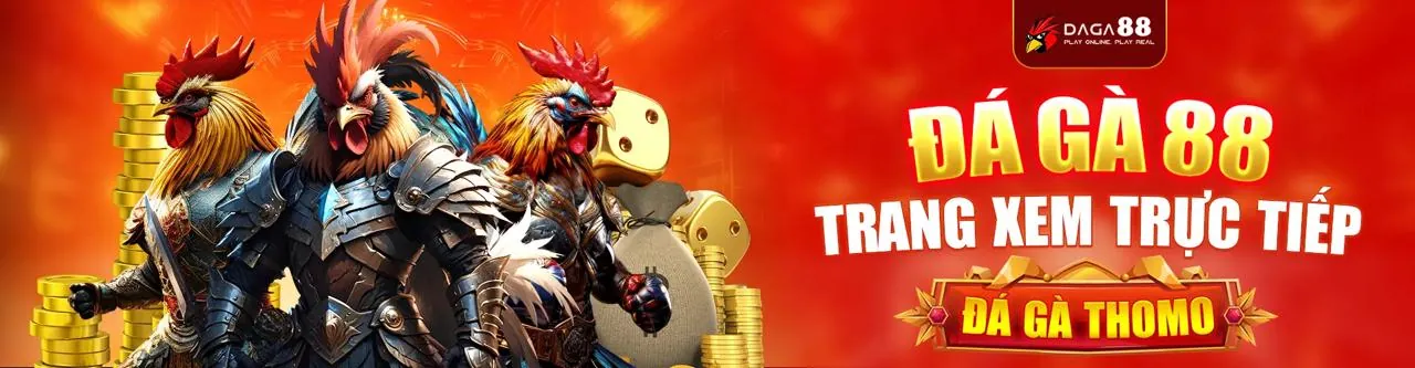 Hình ảnh đại diện Điều khoản và Điều kiện vinbet nhà cái