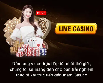 Tổng quan về nền tảng cá cược trực tuyến Vinbet