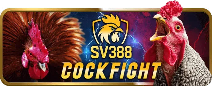 Bắt đầu trải nghiệm cá cược tại Vinbet